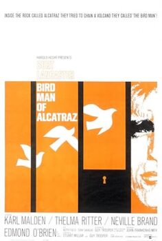 Alkatraz Kuşçusu izle