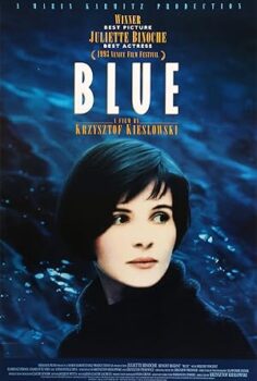 Üç Renk: Mavi izle
