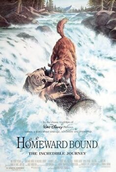 Yuvaya Dönüş izle