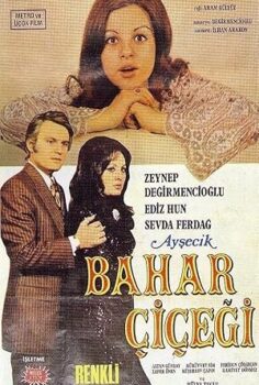 Ayşecik: Bahar Çiçeği izle
