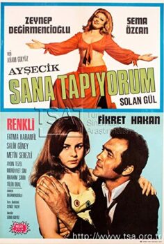 Ayşecik: Sana Tapıyorum izle