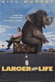 Yol Arkadaşım Bir Fil izle